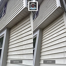 House-Washing-Walkway-Cleaning-in-Burke-VA-Removing-Heavy-Algae-Mold 2