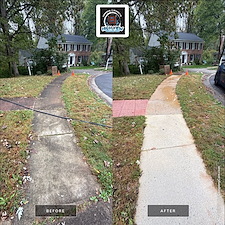 House-Washing-Walkway-Cleaning-in-Burke-VA-Removing-Heavy-Algae-Mold 1