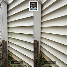 House-Washing-Walkway-Cleaning-in-Burke-VA-Removing-Heavy-Algae-Mold 0