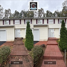 House-Washing-Walkway-Cleaning-in-Burke-VA-Removing-Heavy-Algae-Mold 8