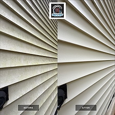 House-Washing-Walkway-Cleaning-in-Burke-VA-Removing-Heavy-Algae-Mold 3