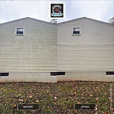 House-Washing-Walkway-Cleaning-in-Burke-VA-Removing-Heavy-Algae-Mold 4