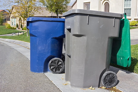 Trash Bin Cleaning